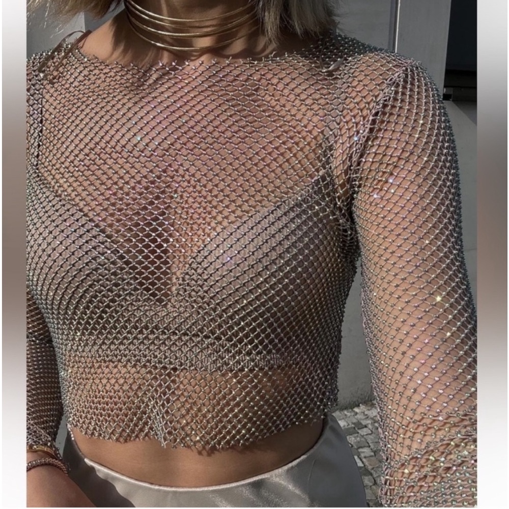 Zara Silver Mesh Crop Top